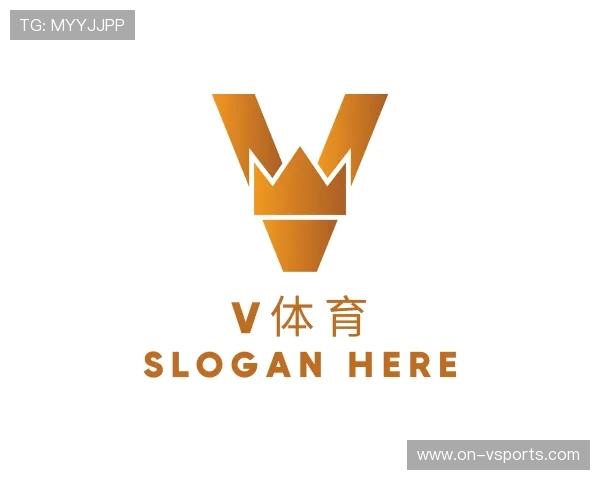 了解v体育公司